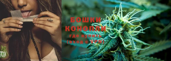 гидра Кирсанов