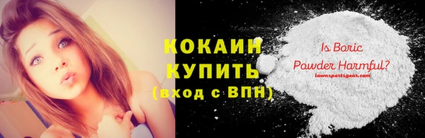 шишки Рославль
