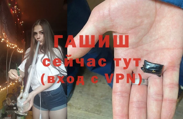 шишки Рославль