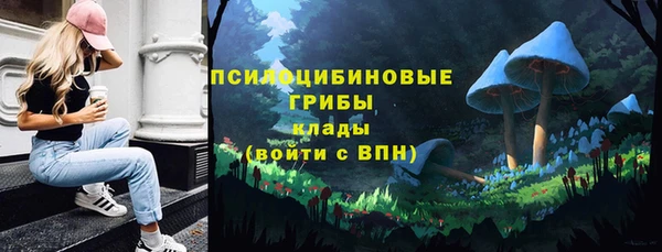 шишки Рославль
