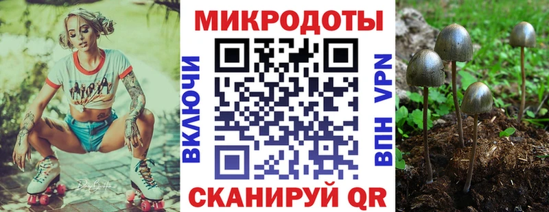 Псилоцибиновые грибы мухоморы  omg tor  Теберда 